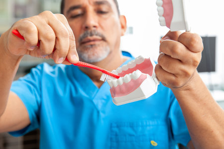 Dentist using a dental model to show the correct way to brush your teeth