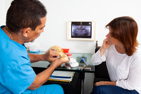Dentist using a human skull as model to explain her dental treatment to a female patientの写真素材