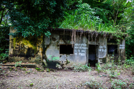 ARMERO, COLOMBIA - MAY, 2022: Remains of the destroyed houses of the Armero Town covered by trees and nature after 37 years of the tragedy caused by the Nevado del Ruiz Volcano in 1985のeditorial素材