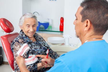 Senior woman patient looking at a dental model while the dentist explains her the correct way to...