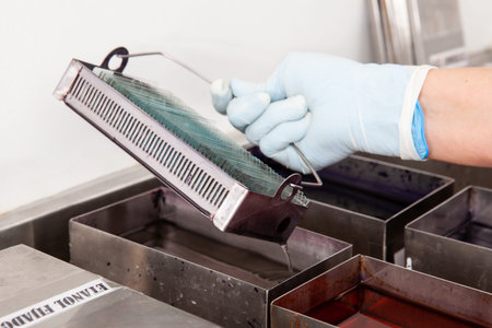 Scientist staining microscope slides for cytology studies in the laboratory. Fixation of samples...