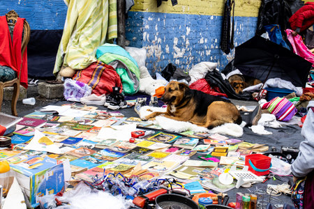 BOGOTA, COLOMBIA - JULY 2023. View of a flea market at Bogota city centerのeditorial素材