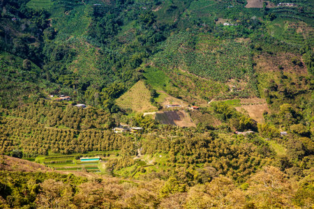 The beautiful Coffee Cultural Landscape of Colombia declared as a World Heritage Site in 2011