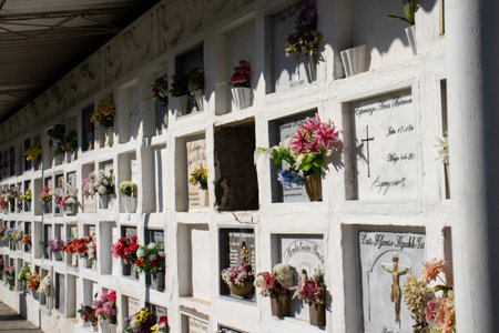 SALAMINA, COLOMBIA - JANUARY 14, 2024: Historical cemetery Our Lady of La Valvanera of the beautiful heritage town of Salamina in the department of Caldas in Colombiaのeditorial素材