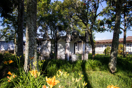 SALAMINA, COLOMBIA - JANUARY 14, 2024: Historical cemetery Our Lady of La Valvanera of the beautiful heritage town of Salamina in the department of Caldas in Colombiaのeditorial素材