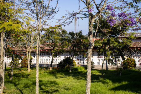 SALAMINA, COLOMBIA - JANUARY 14, 2024: Historical cemetery Our Lady of La Valvanera of the beautiful heritage town of Salamina in the department of Caldas in Colombiaのeditorial素材