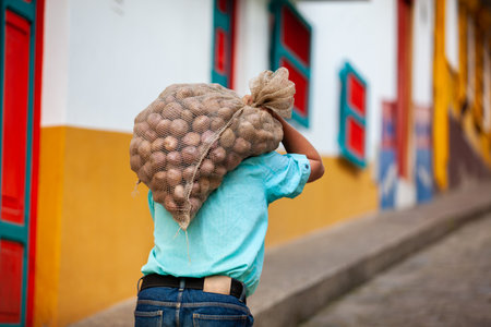 Peasant man carrying a sack of potatoes at the small town of Concepcion, Antioquia, Colombia.の写真素材