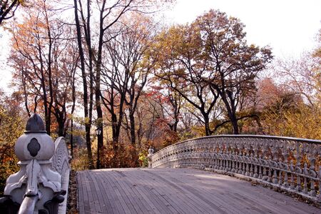 Central Park autumnの写真素材