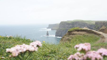 Cliffs of Moher Irelandの写真素材
