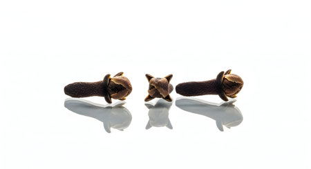 Three whole cloves are arranged on a white surface with reflections, creating a simple, clean composition.の素材