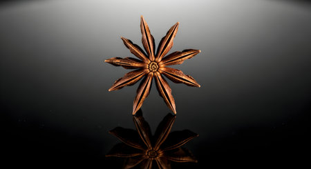 A close-up, studio shot of a single star anise spice pod, its star shape prominent against a dark, reflective background.の素材