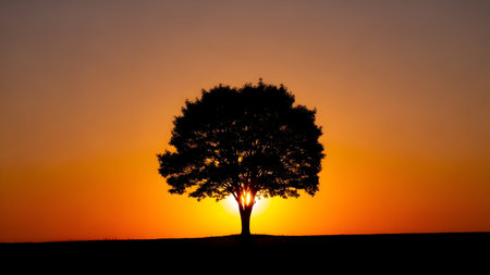 Silhouette of a lone tree against a vibrant orange and yellow sunset sky. Sun peeks through branches creating a dramatic, striking image.の素材