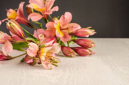 Bouquet of a beautiful alstroemeria flowers on woodの写真素材