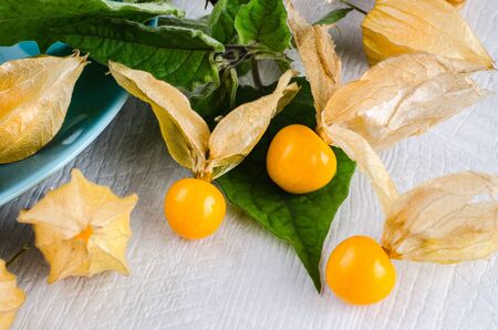 Blue dish with ripe physalis on white wooden backgroundの写真素材