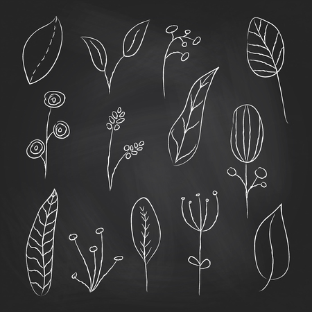 A collection of hand drawn delicate decorative vintage leaves in chalkboard background. Vector illustration.のイラスト素材