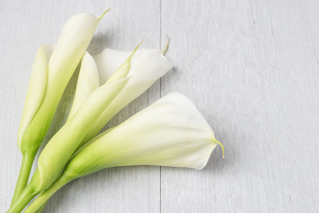 Elegant spring flower, calla lily on rustic wooden table. For wedding background image.の写真素材