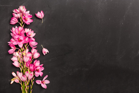 Fresh pink flowers on dark slate table. Top view with copy spaceの写真素材