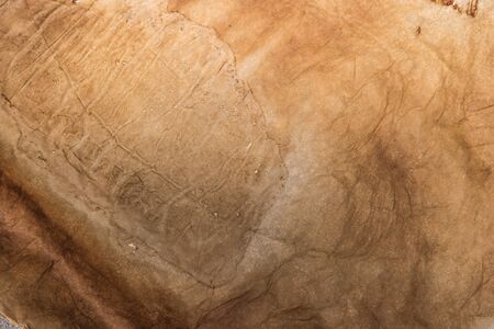 Old paper texture with aged blotsの写真素材