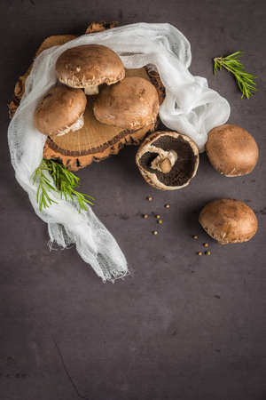 Forest picking mushrooms on the old concrete background. Fresh raw mushrooms on the table.の写真素材