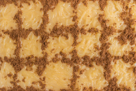 Aletria is a classic Portuguese vermicelli pudding and this is a traditionally served at Christmas time. This is one of the favourites pudding from Portugalの写真素材