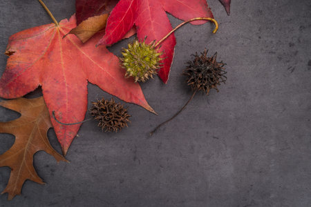 Autumn leaves over black background with copy space.