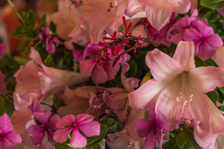 Spring flowers in a multicolored mixed bouquetの写真素材