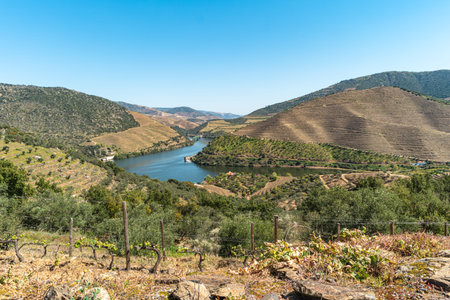 Viewpoint of Vargelas allows to see a vast landscape on the Douro and its man-made slopes. Douro...