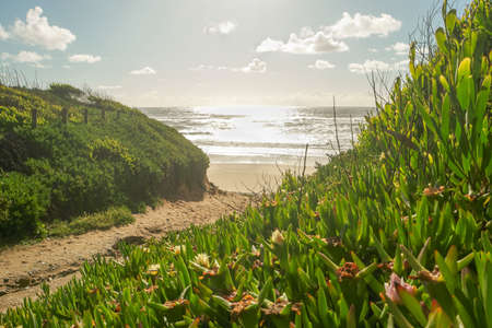 Landscape of sunset in Sao Pedro de Maceda beach. Ovar, Portugal.の写真素材