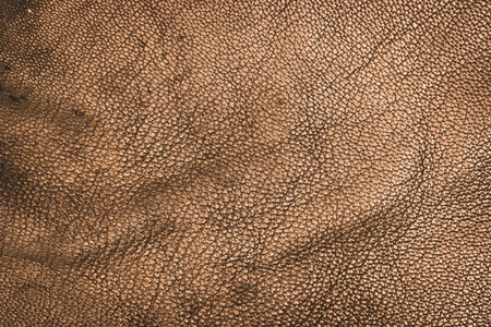 Closeup detail of brown leather texture background.