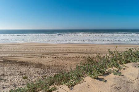 Landscape of Furadouro beach with vegetation in the dunes. Ovar, Portugal.の写真素材