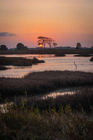 View of sunset on Ria de Aveiro, Ovar, Portugalの写真素材