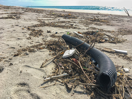 Plastic waste on Furadouro beach in Ovar, Portugal. Trash, plastic, garbage, bottle. Environmental...