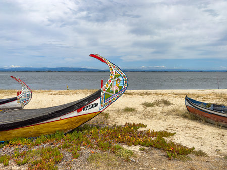 AVEIRO, PORTUGAL - JUL 5, 2023: Typical boats in the fishing that used to harvest algae on Aveiro lagoon once Village of Torreira, Murtosa near Aveiro, Portugal near Aveiro, Portugalのeditorial素材