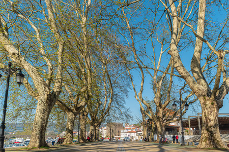 PONTE DE LIMA, PORTUGAL - APRIL 12, 2018: Tree lined walk along the Lima River at Alameda dos Platanos.のeditorial素材