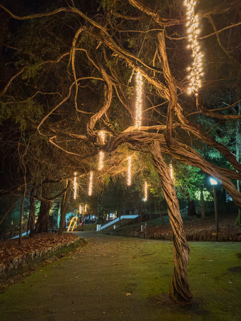 Oliveira de Azemeis, Portugal - december 2 2023: Families watching the Christmas lights and having fun with the children at the Christmas attractions in La Salette park during Christmas seasonのeditorial素材