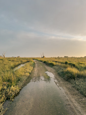 View of sunset on Ria de Aveiro, Ovar, Portugal