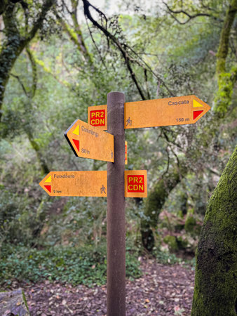 Wooden signpost or road signage on the Rio de Mouros walkway trail in Condeixa, Coimbra Portugal.の写真素材