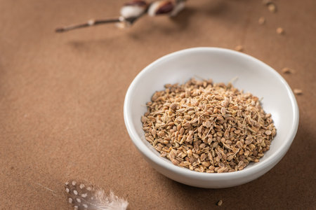 Fennel seeds in a white bowl on a textured brown surface with a delicate feather and blurred plant stem in the backgroundの写真素材