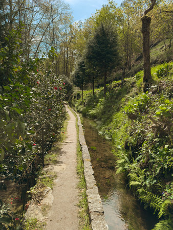 Jugueiros Levada Flower Path. A narrow dirt path runs alongside a clear Levada lined with flowering...
