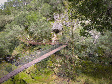 Suspended footbridge spanning a mossy gorge connects hiking trails through limestone cliffs, featuring wooden planks and safety cables in a lush natural setting. Rio de Mouros pathway in Condeixa, Coimbra Portugal.の写真素材