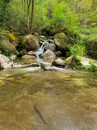 Barrias Waterfall Serenity. A gentle waterfall cascades over moss-covered rocks into a calm, clear pool surrounded by lush greenery in the natural setting of Jugueiros, Felgueiras, Portugalの写真素材