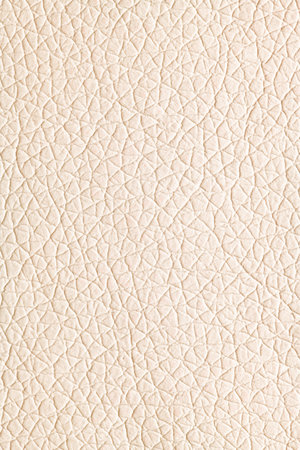 Vertical macro close-up showcasing the intricate, finely-grained texture of light ivory or pale cream leather materialの写真素材