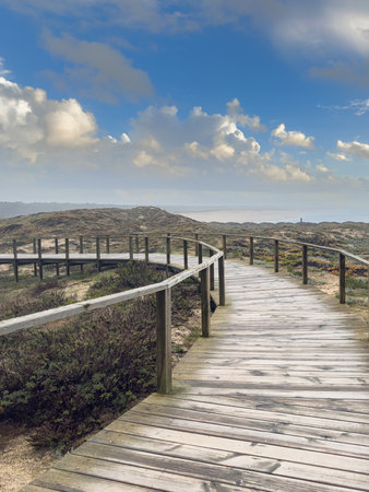A winding wooden boardwalk curves through sandy coastal dunes covered with dry vegetation at Furadouro beach Ovar Portugal, under a bright, dramatic blue sky with fluffy white cloudsの写真素材