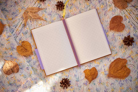 Opened notebook with blank pages surrounded by autumn leaves and cones on a woolen background. Cozy warm place. Autumn flat lay background with mock upの写真素材