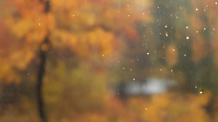 Autumn background with bokeh defocused lights and rain dropsの素材
