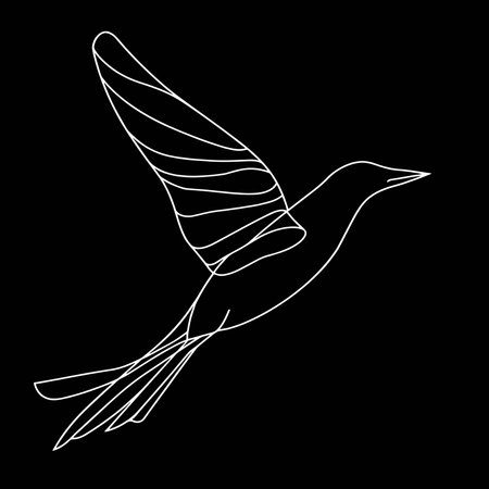 Flying bird. Outline simple icon on black background for web designのイラスト素材