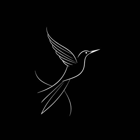 Hummingbird icon. Simple vector illustration on black background for graphic and web design.のイラスト素材