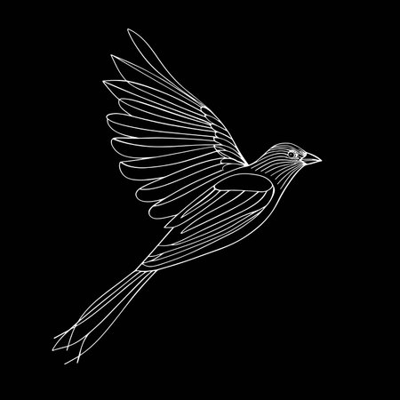 Vector illustration of a flying bird on a black background. Line art.のイラスト素材