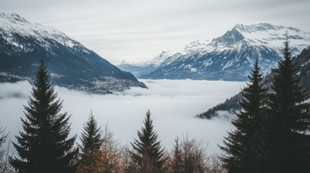 Majestic Winter Mountain Landscape Snowy Peaks Foggy Valley Trees fir sky view cold calm blue grayの素材