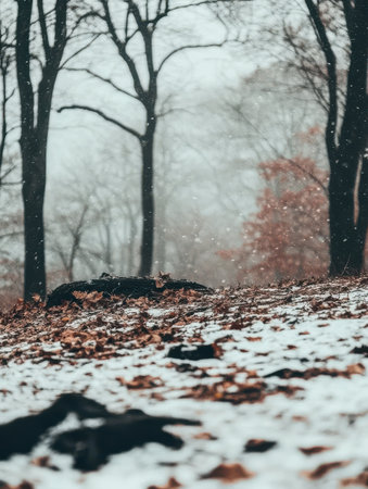 Snowy Winter Forest Scene Tranquil Nature Peaceful Winter Wonderland Serene Atmosphere Beautifulの素材